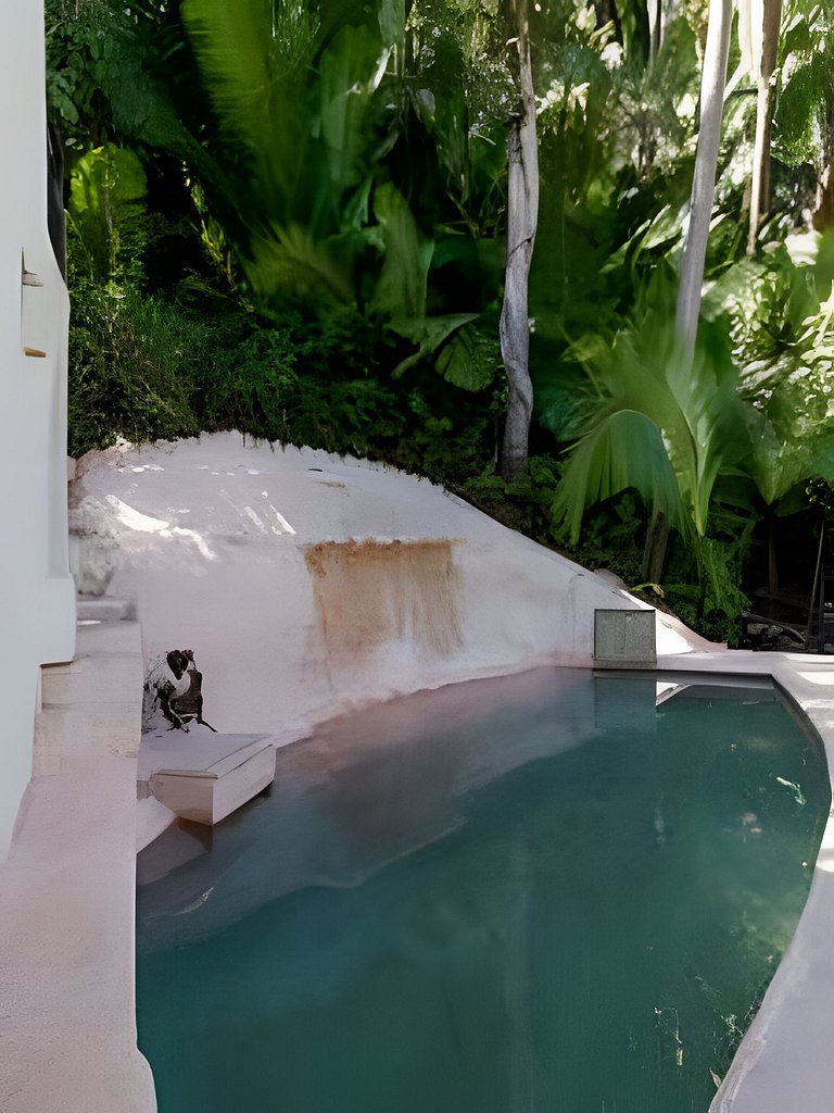 Ecosoul Libelula villa